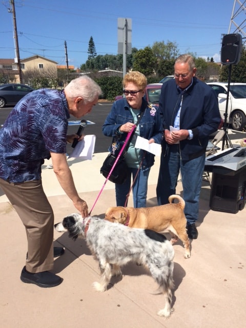 Church members at an outdoor blessing of the animals event